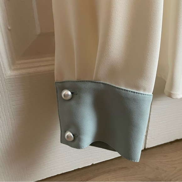 Pearl Details: Amanda Uprichard Blouse - Picture 3 of 3